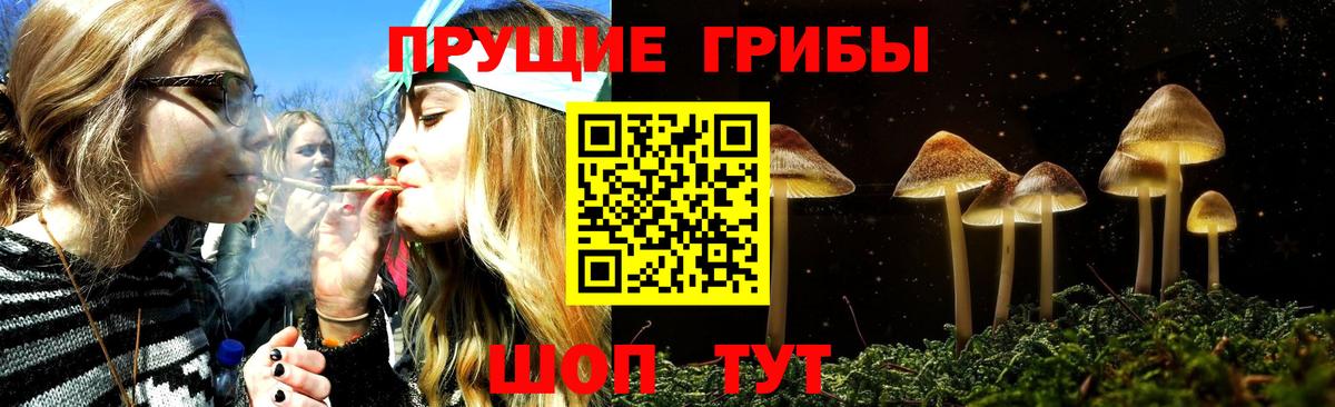Гагарин  Псилоцибиновые грибы Psilocybe  Вход с VPN 